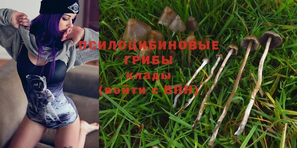 прущая мука Остров