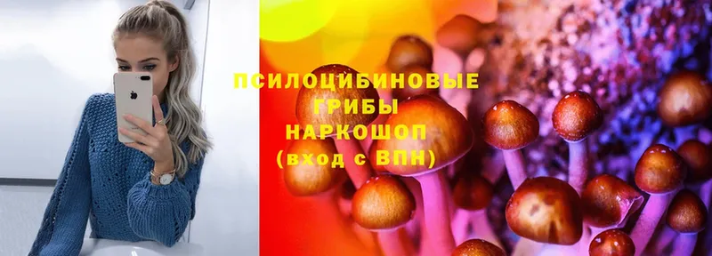 где можно купить наркотик  Соликамск  Псилоцибиновые грибы Psilocybe 