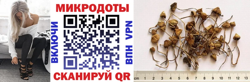 Псилоцибиновые грибы MAGIC MUSHROOMS  сколько стоит  Соликамск 