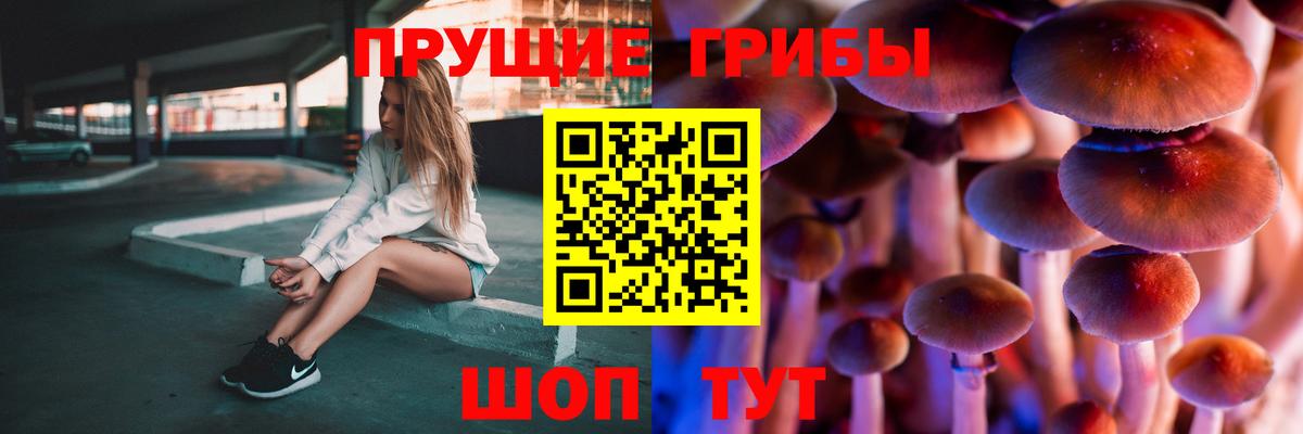 Соликамск  Галлюциногенные грибы Cubensis  Вход с VPN 